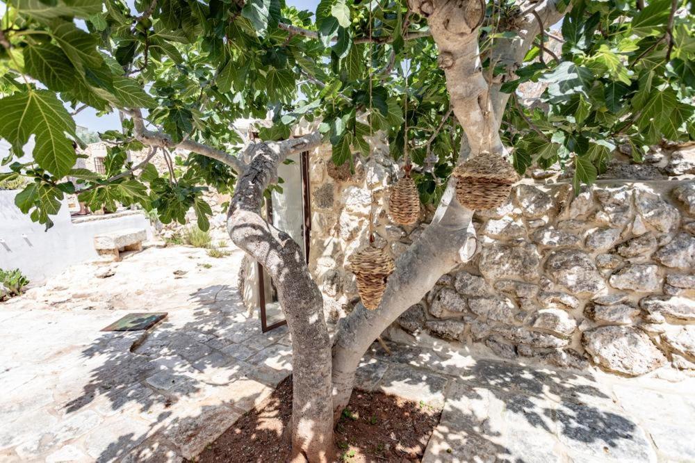 Trullo Santovia Bed and Breakfast Sant Isidoro  Buitenkant foto